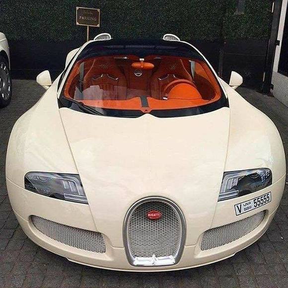 Meet your Posher, James - Picture 1 of 1